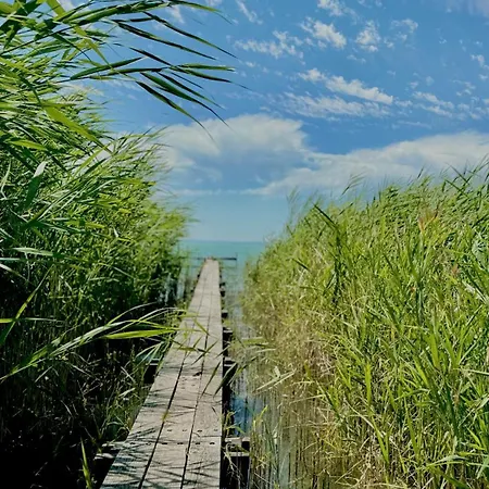 Retro Lakefront House With A Dock * Balatonvilagos