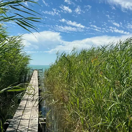 Retro Lakefront House With A Dock Balatonvilágos