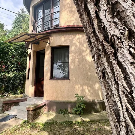 Retro Lakefront House With A Dock * Balatonvilágos