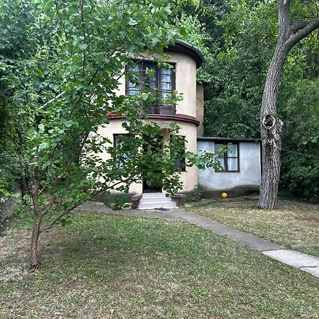 シャレー Retro Lakefront House With A Dock