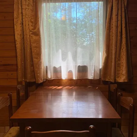 Retro Lakefront House With A Dock 木屋