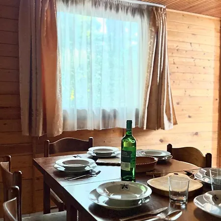 Retro Lakefront House With A Dock * Balatonvilágos