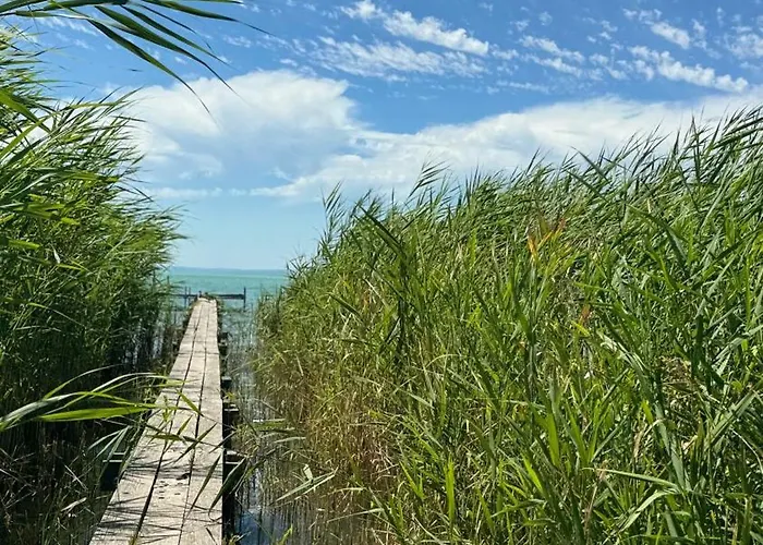 Retro Lakefront House With A Dock Balatonvilágos