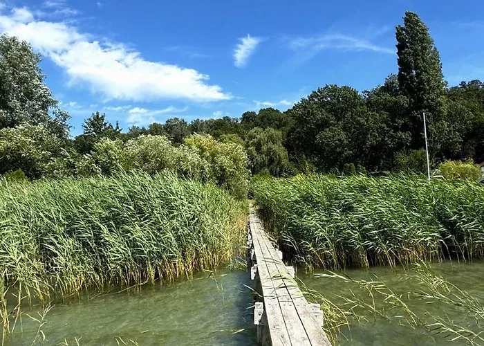Chalet Retro Lakefront House With A Dock Balatonvilágos