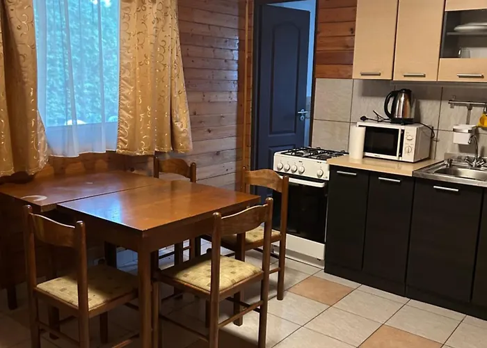 Retro Lakefront House With A Dock Balatonvilágos